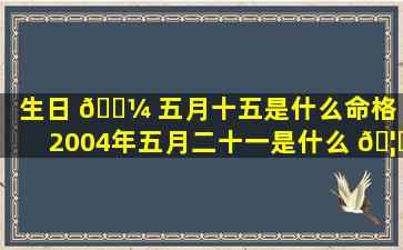 生日 🐼 五月十五是什么命格（2004年五月二十一是什么 🦅 命格）